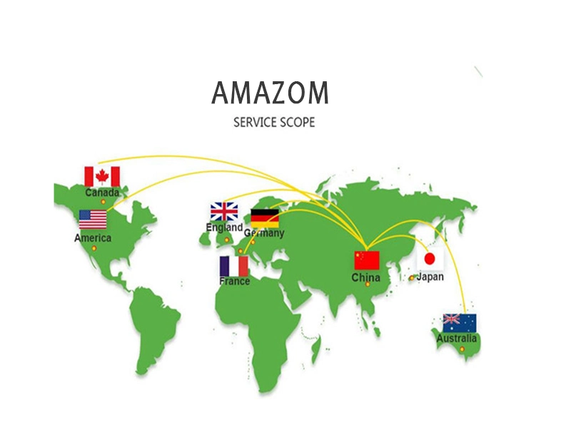 Logistics Company From Shenzhen to Denmark Fba Amazon Warehouse DDP Door to Door Services