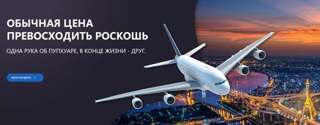 Logistics Shipping Warehouse Freight Forward China Shipment Service Sea/Air/Fba / Truck to Russia