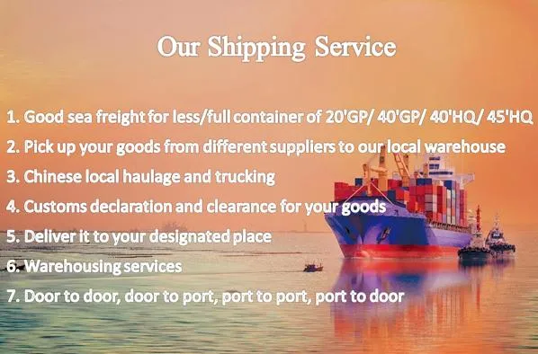 Ocean Sea Freight Agent International Shipping Forwarder Service From China to USA Canada Germany France Netherlands