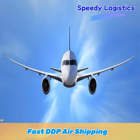 Amazon FBA Ocean Sea Freight è un servizio logistico dalla Cina agli Stati Uniti occidentali