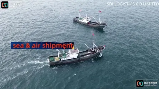 Servizi di trasporto marittimo/trasporto marittimo/trasporto di container da Shanghai al porto marittimo di Montevideo