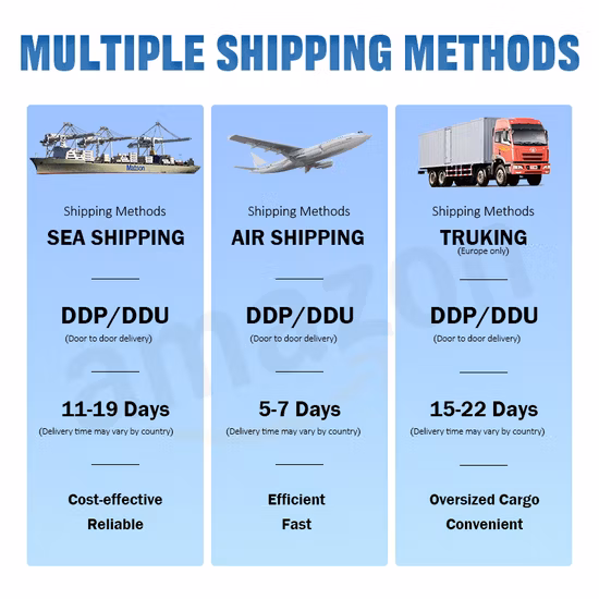 Servizio di dichiarazione doganale e sdoganamento a Nhava Sheva /Mulund Cfs/Bombay /Calcutta/Chennai/Madras/Icd Bangalore/Chennai/Mundra