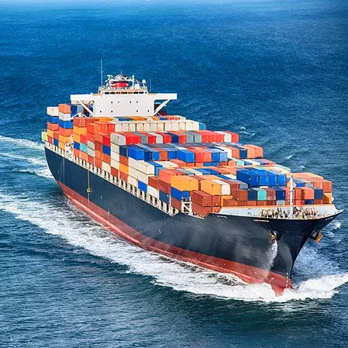 Agente marittimo di Dongguan/Guangzhou dalla Cina al Sud Africa, Durban, i migliori servizi