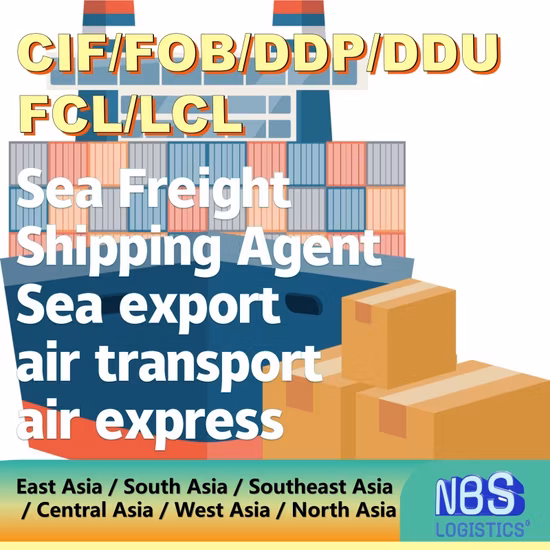 FCL LCL Sdoganamento Trasporto ferroviario terrestre DDU DDP Trasporto marittimo Trasporto marittimo a Pipavav India Pakistan